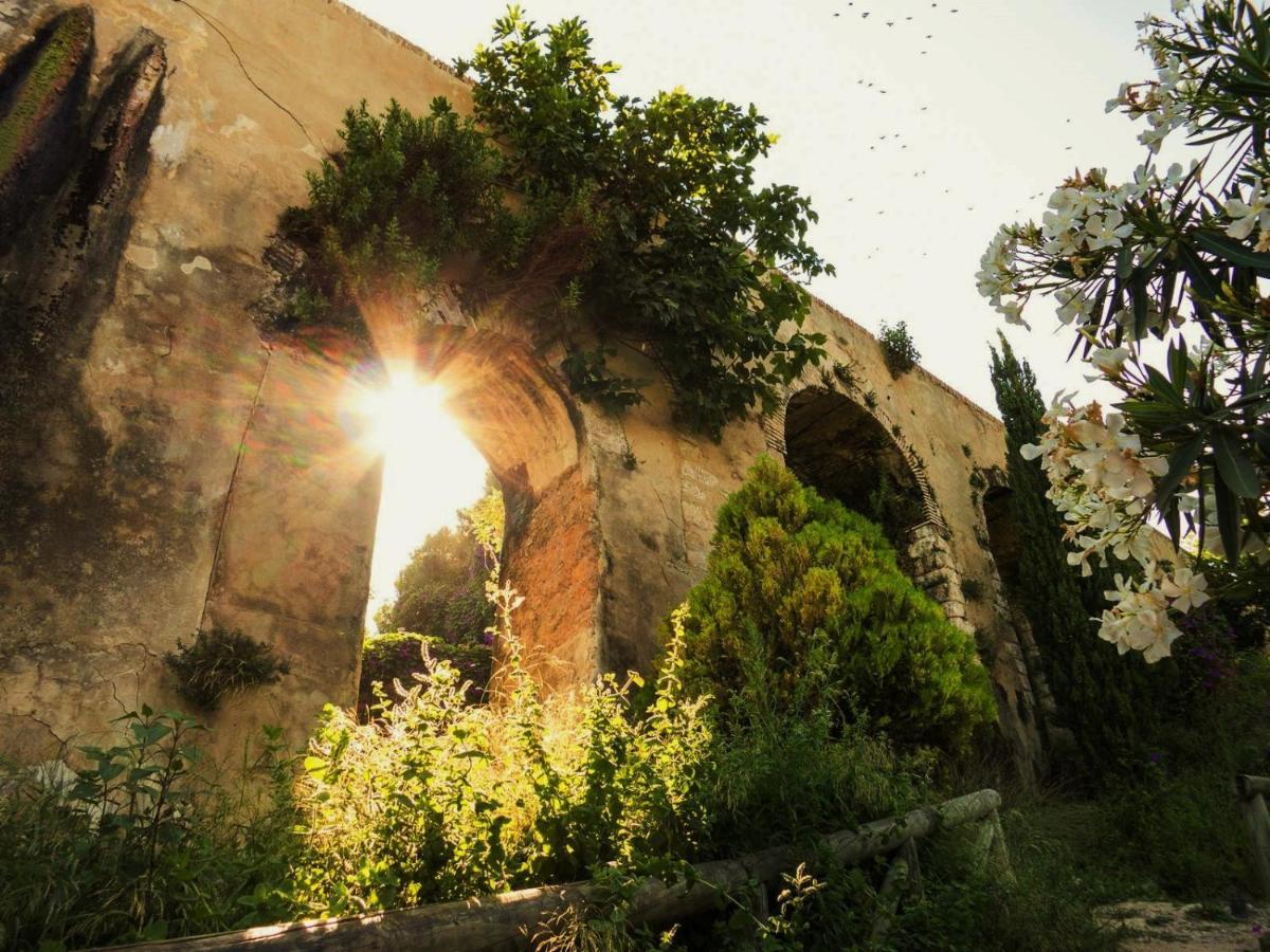 Casa Pangea Villa Vejer de la Frontera Exteriör bild